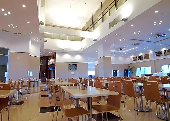 Toyoko 3*